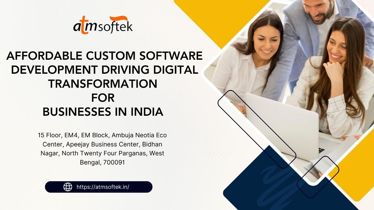 Affordable Custom Software Development